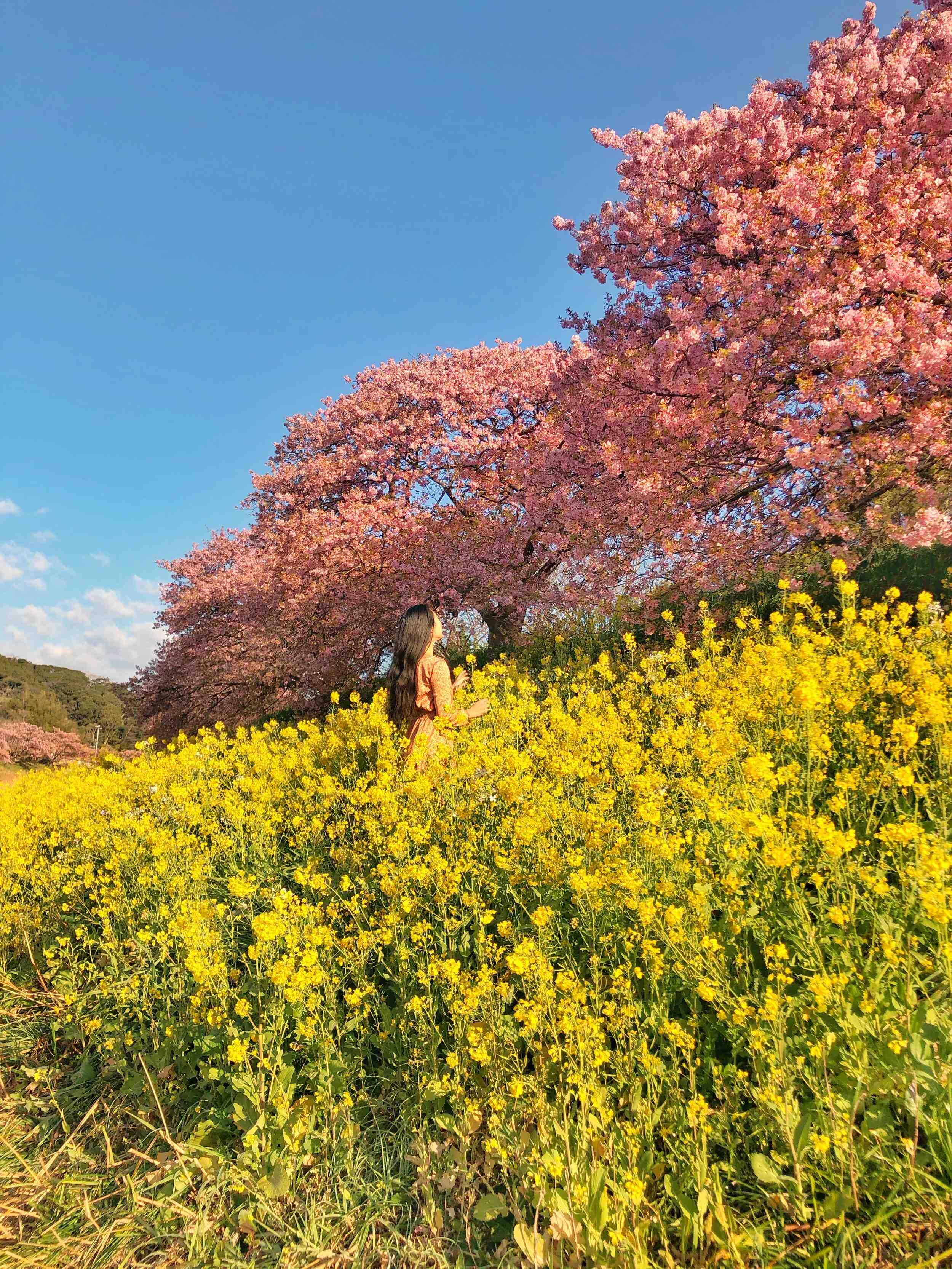 ♨️ 시모가모 온천 은탕회관 (긴노유카이칸) 이미지 8
